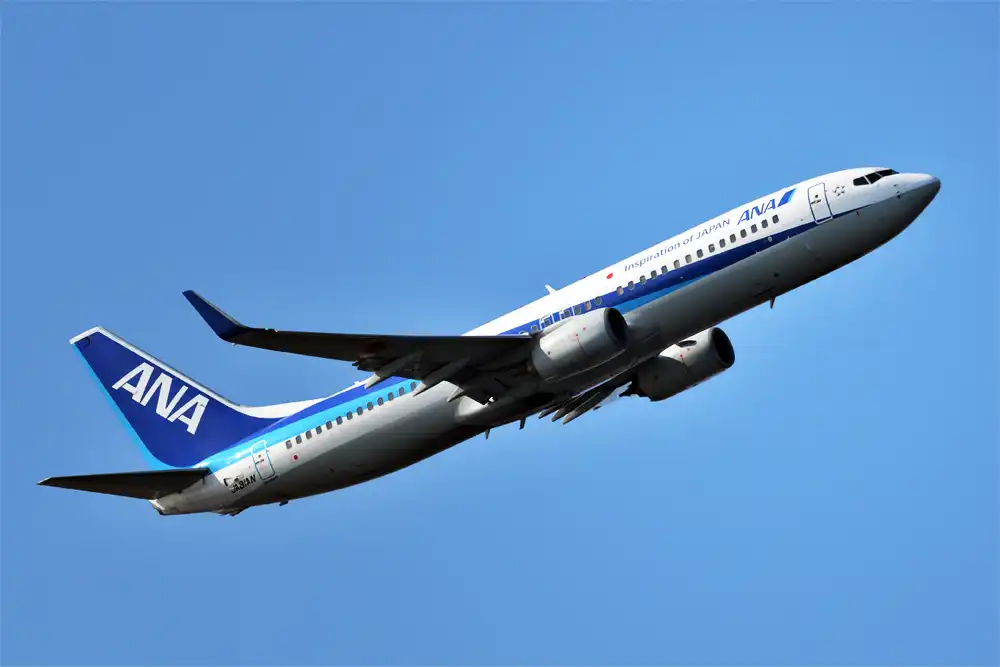 All Nippon Airways (ANA)
