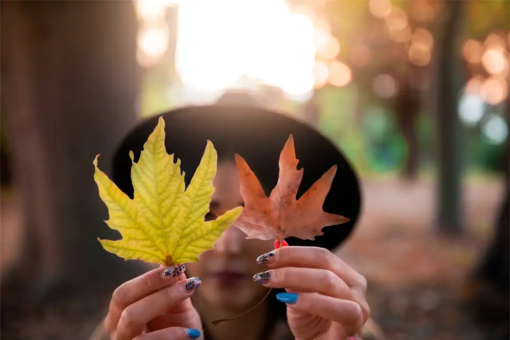 Autumn (September to November)