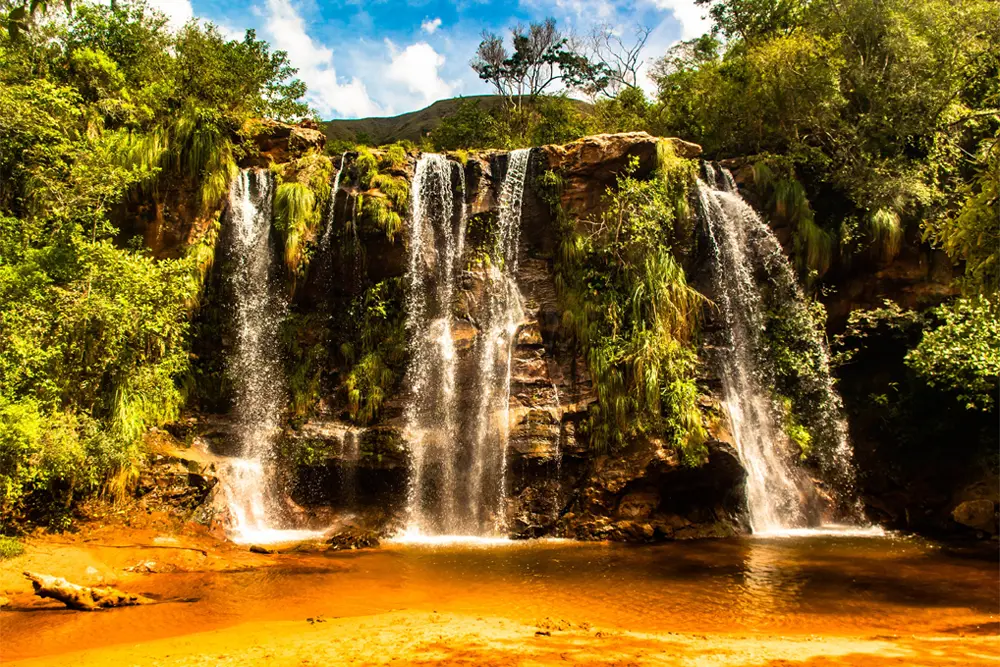 Bolivia Madidi National Park