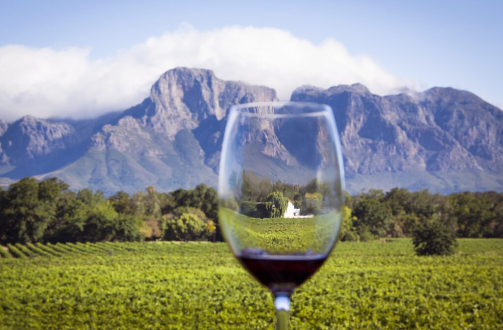 Cape Winelands South Africa