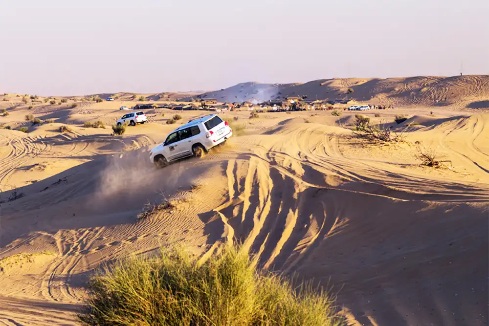 Desert Safari
