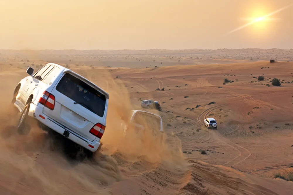 Desert Safari