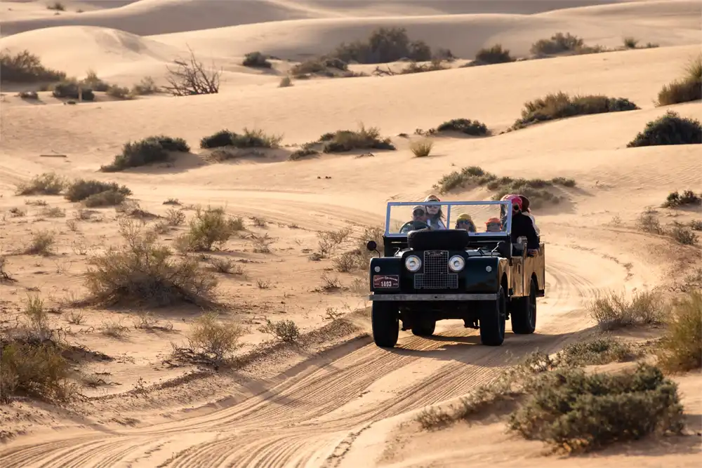 Desert Safari