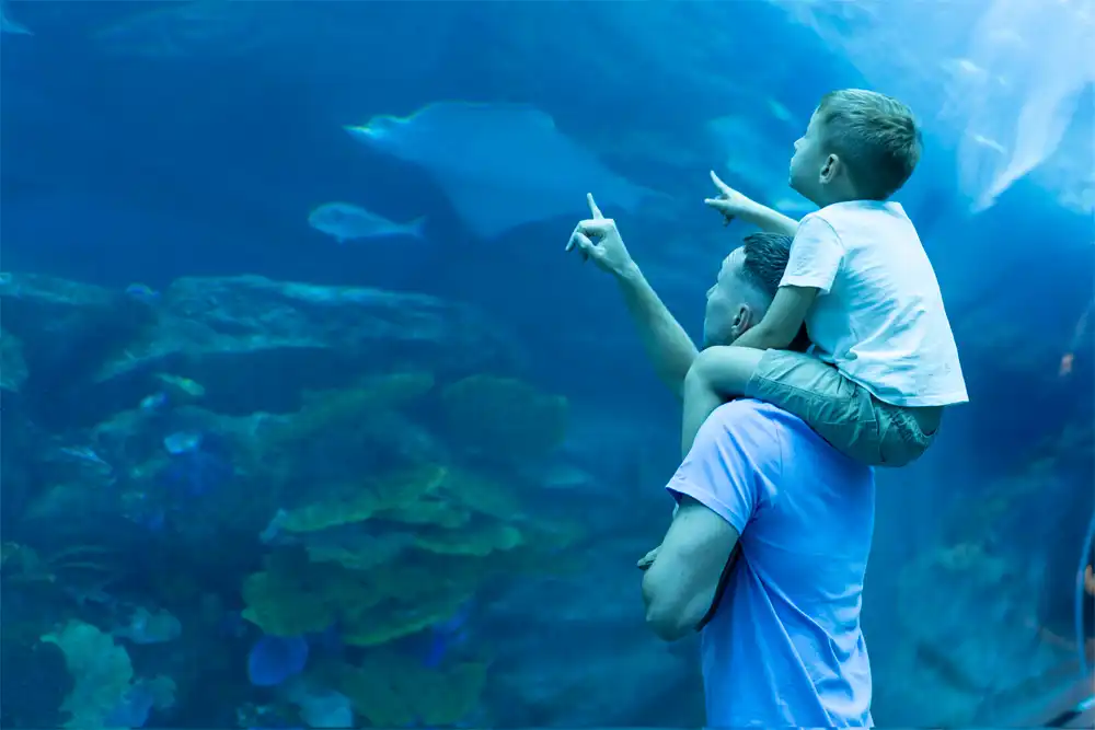 Dubai Aquarium & Underwater Zoo