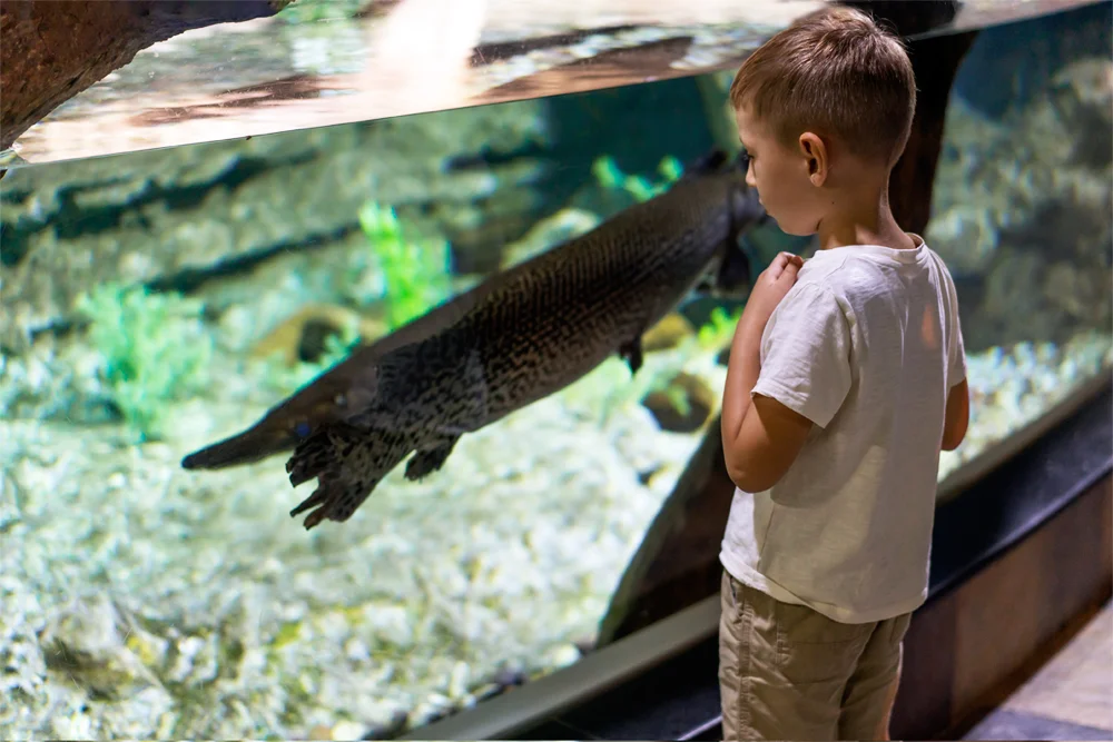 Dubai Aquarium and Underwater Zoo
