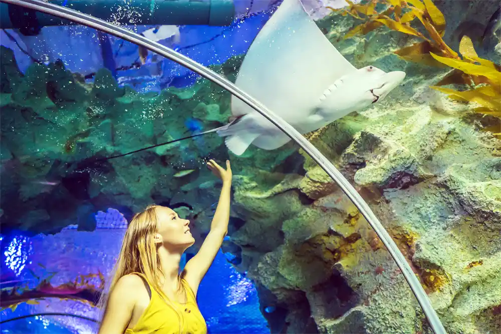 Dubai Aquarium & Underwater Zoo