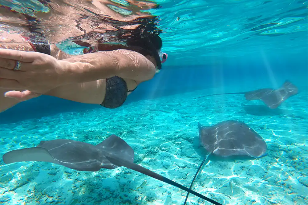 Experiences Not to Miss in the Maldives