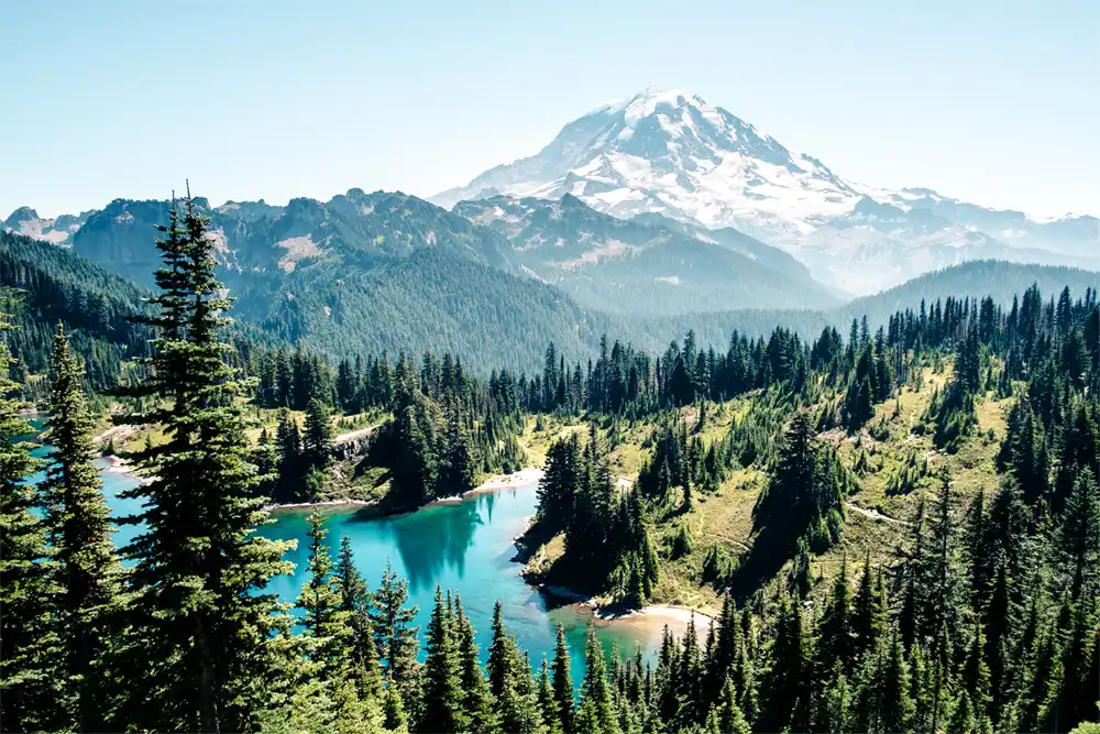 Mount Rainier National Park