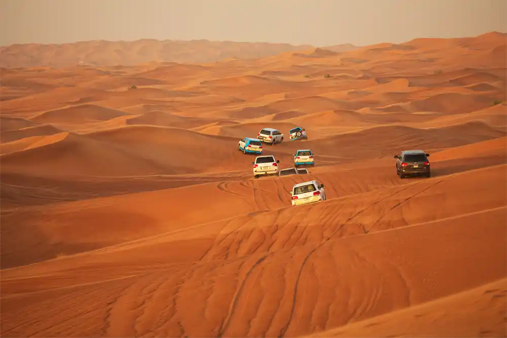 Participate in Desert Safari
