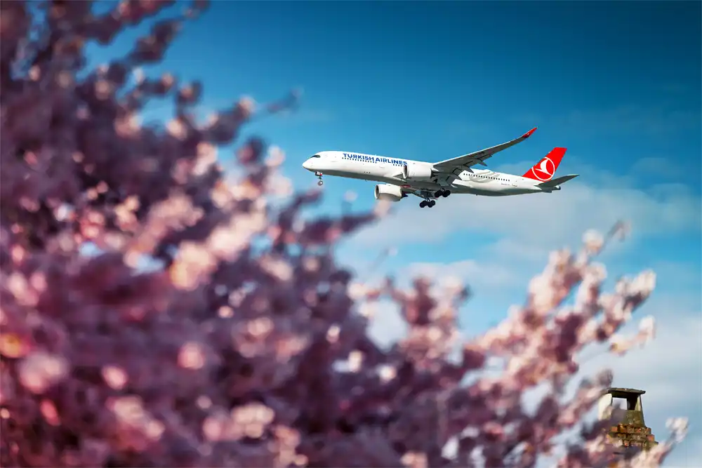 Turkish Airlines